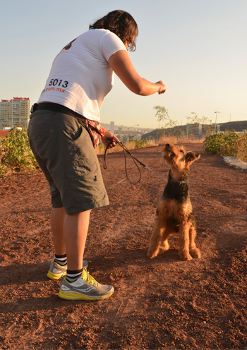 Entrenamiento de Vida Canina