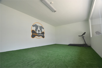 Instalaciones de Vida Canina