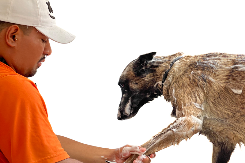 Baños caninos en Vida Canina