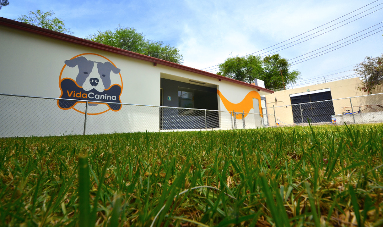 Instalaciones de Vida Canina